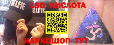 PSILOCYBIN Заводоуковск