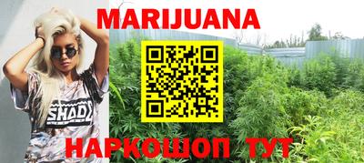 PSILOCYBIN Заводоуковск