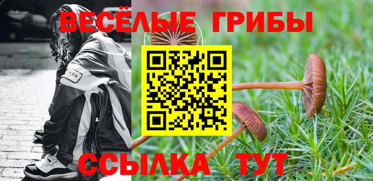 Галлюциногенные грибы GOLDEN TEACHER Лысьва