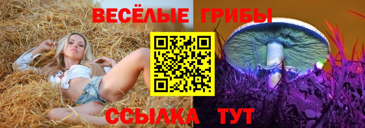 Меф МЯУ МЯУ   Кокаин  Амфетамин   Меф  Лысьва  Вход с VPN  ГАШИШ 