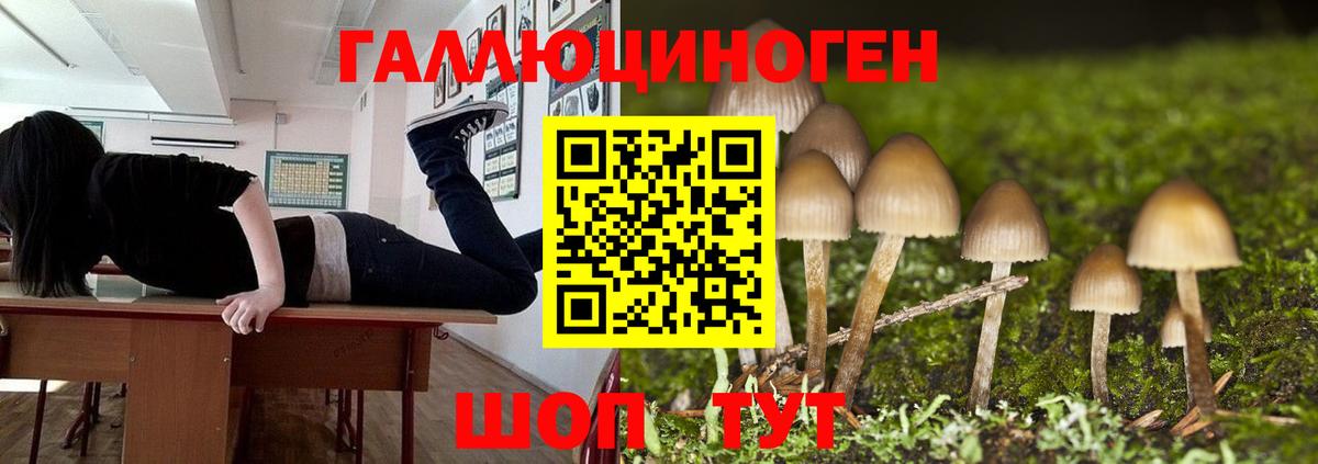 Псилоцибиновые грибы Psilocybe  Вход с VPN  Лысьва  Галлюциногенные грибы Magic Shrooms 